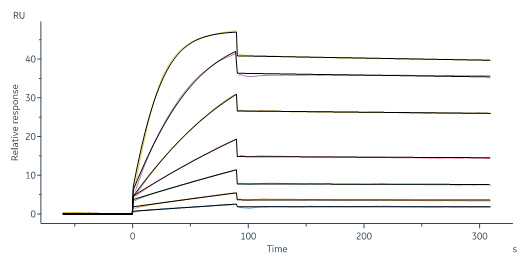 Human PLAU / uPA Protein, His Tag