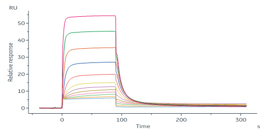 Human Podoplanin / PDPN Protein, His Tag (SPR verified)