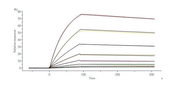 Biotinylated Human PTK7 / CCK4 protein, His,Avitag™ (MALS verif
