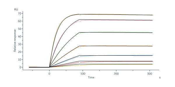 Biotinylated Human PTK7 / CCK4 protein, Fc,Avitag™ (MALS verifi