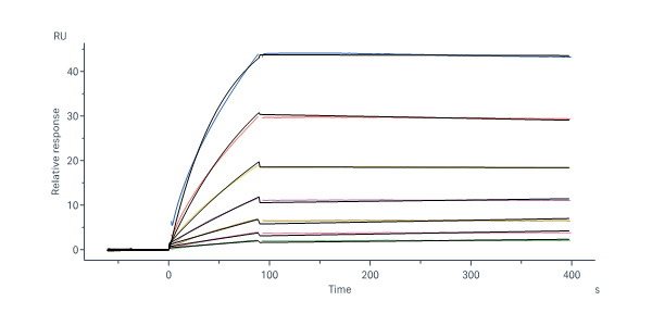 Glycoprotein/G Protein (RABV) SPR