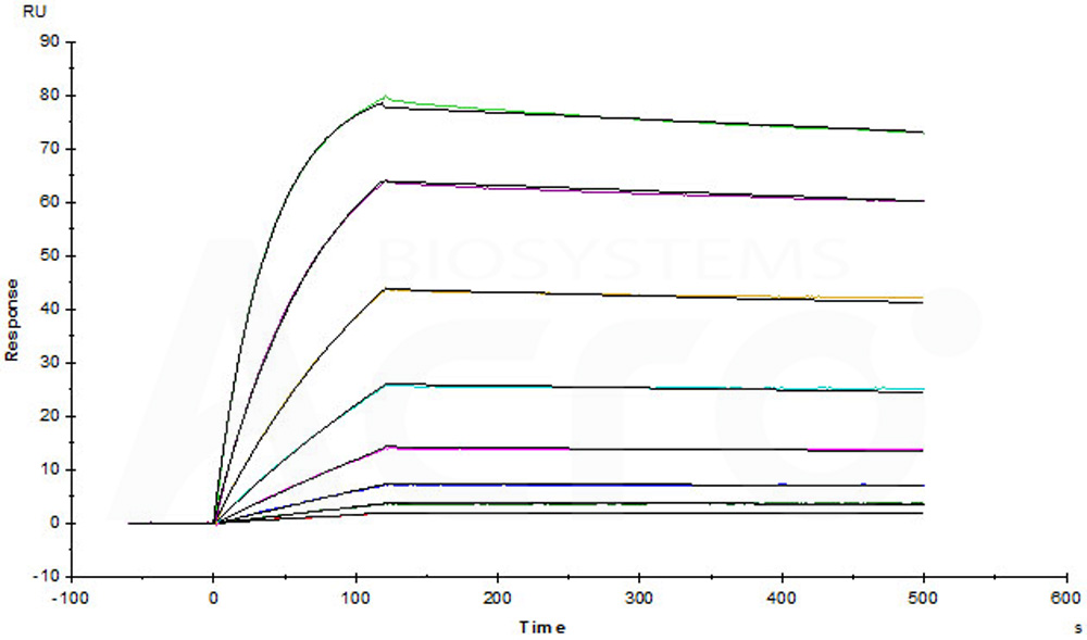 Human RANK / TNFRSF11A Protein, Mouse IgG2a Fc Tag, low endotox