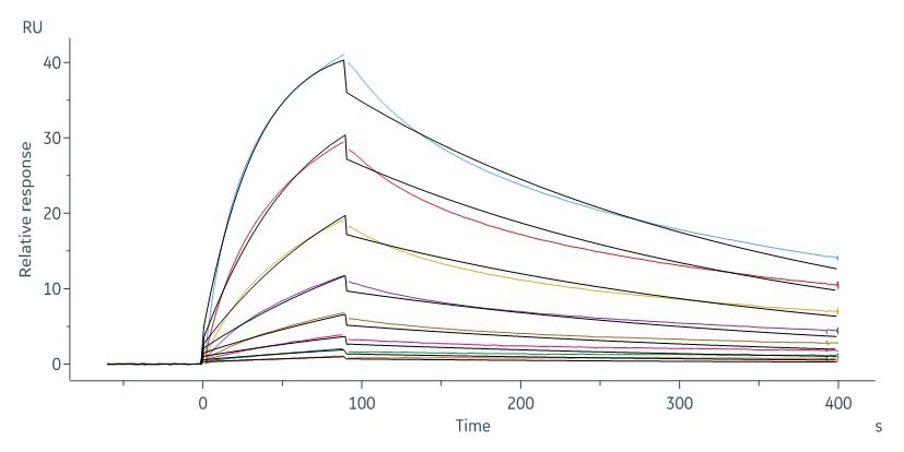 Serum Albumin SPR