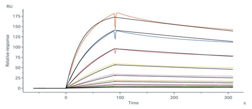 Transferrin R SPR