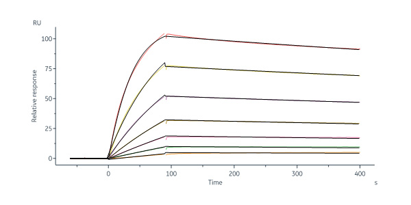 Human Transferrin R / CD71 Protein, Tag Free (MALS verified)