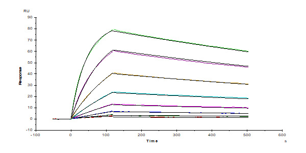 Biotinylated Human TROP-2 / TACSTD2 Protein, His,Avitag™ (MALS