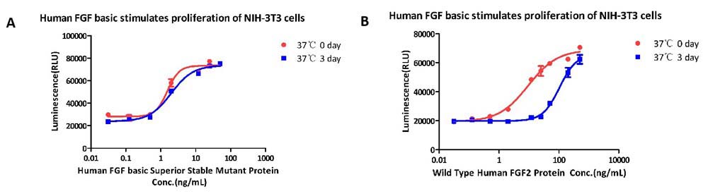 FGF basic HEAT STABILITY