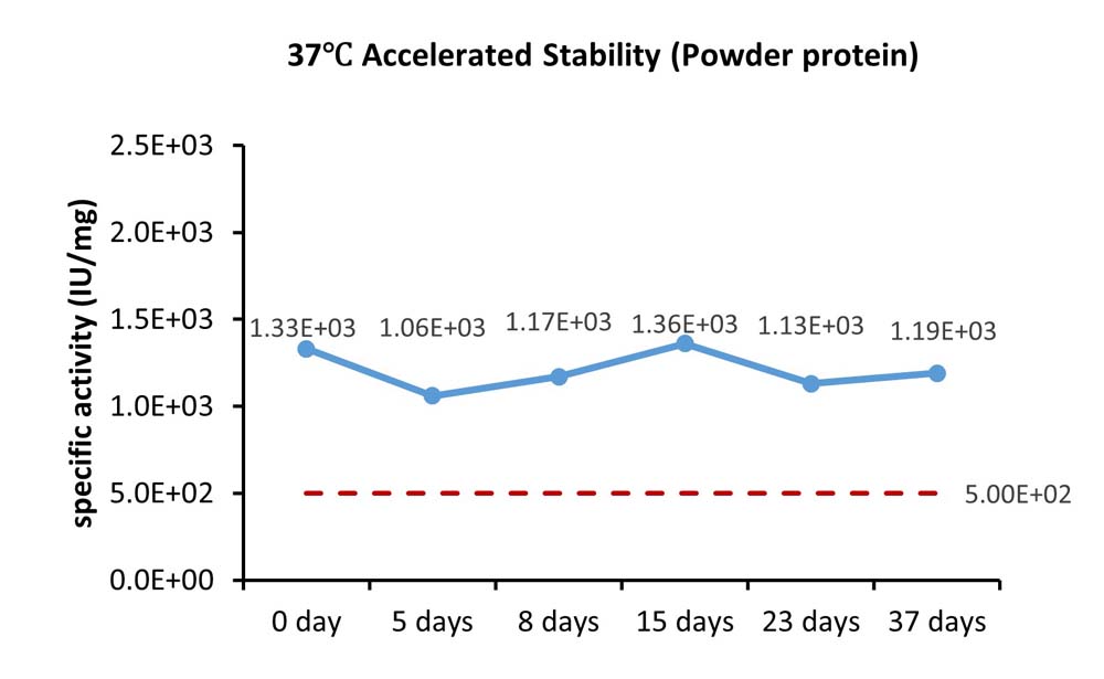 Activin A STABILITY