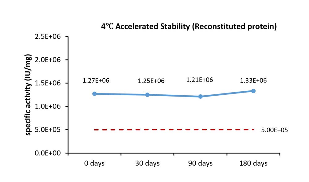 FGF-7 STABILITY
