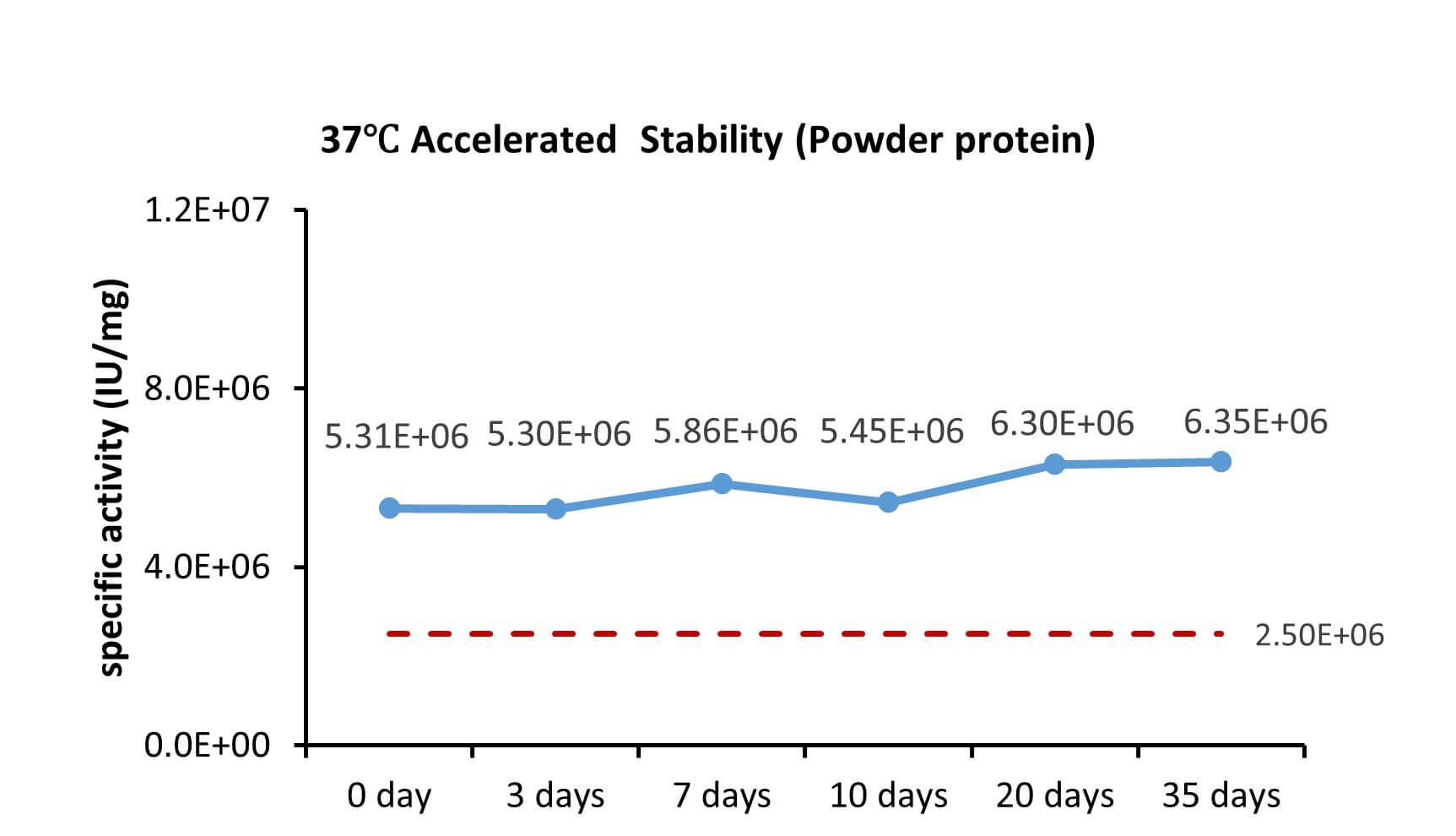 FGF basic STABILITY