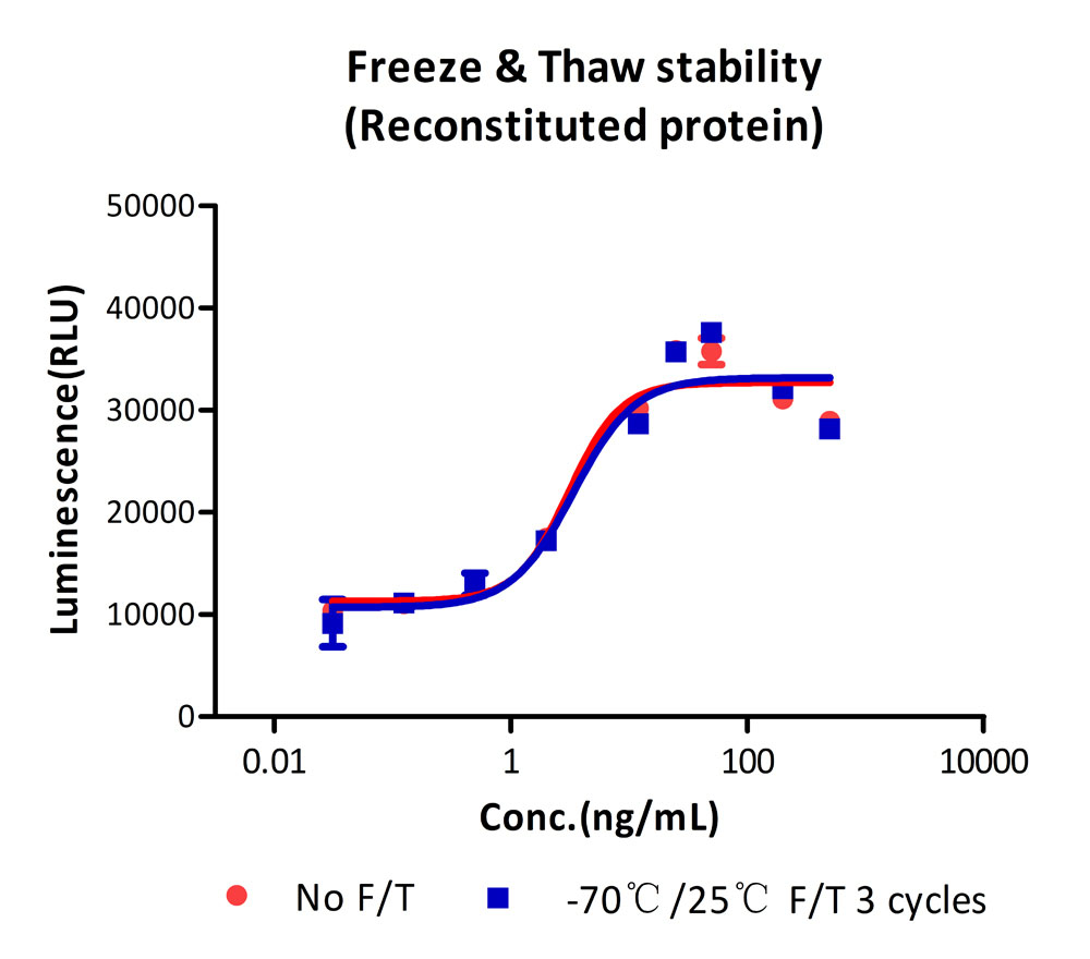 FGF basic STABILITY
