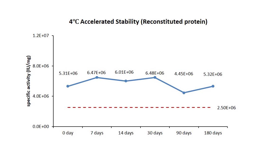 FGF basic STABILITY