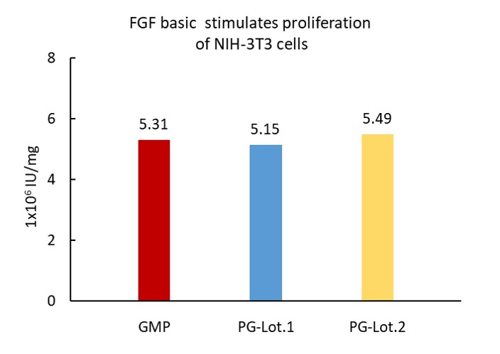 FGF basic STABILITY