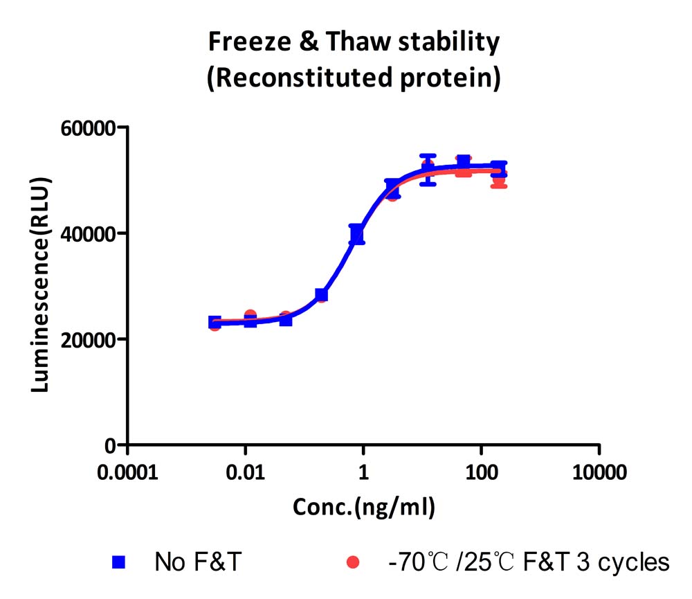 Flt-3 Ligand STABILITY