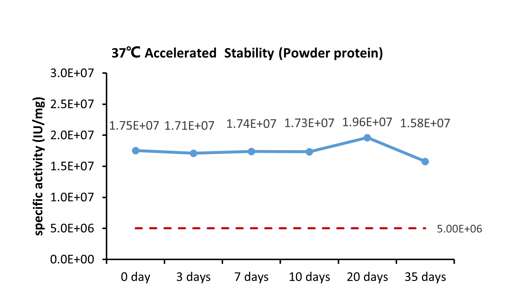 GM-CSF STABILITY