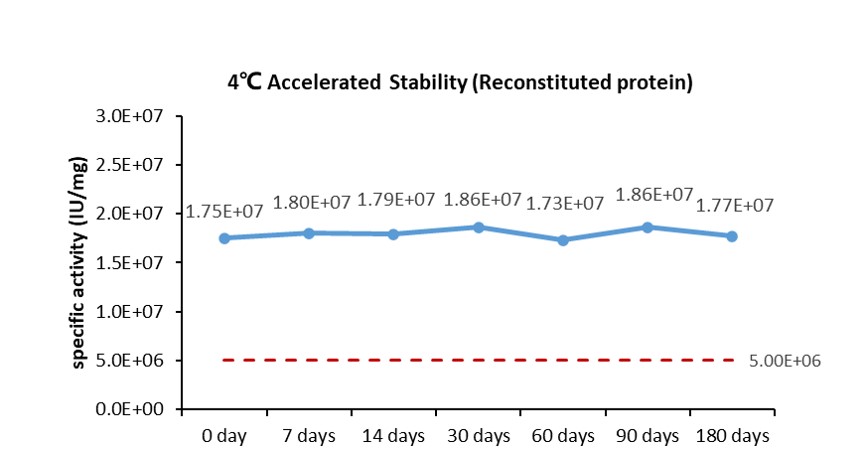 GM-CSF STABILITY