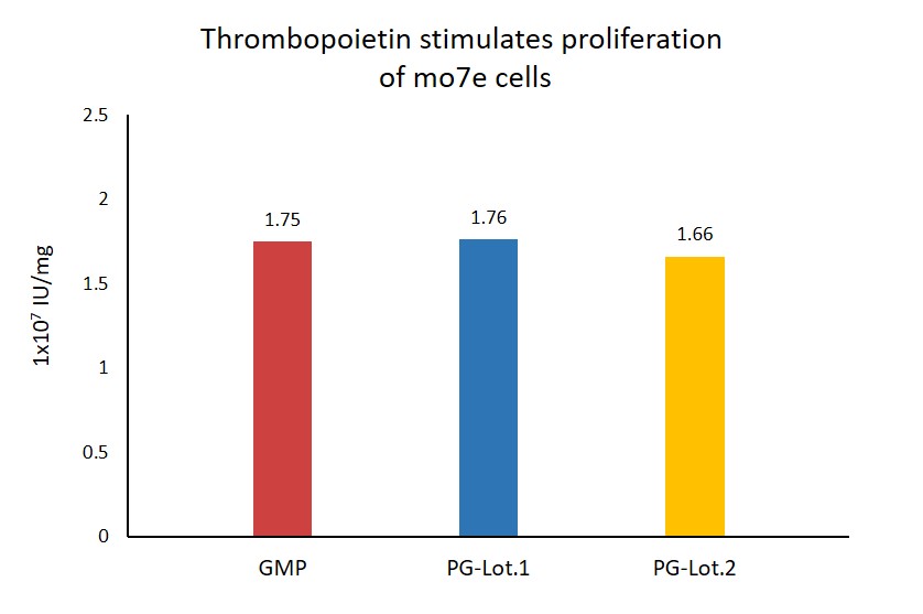 GM-CSF STABILITY