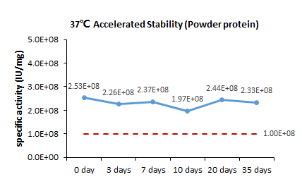 IL-6 STABILITY