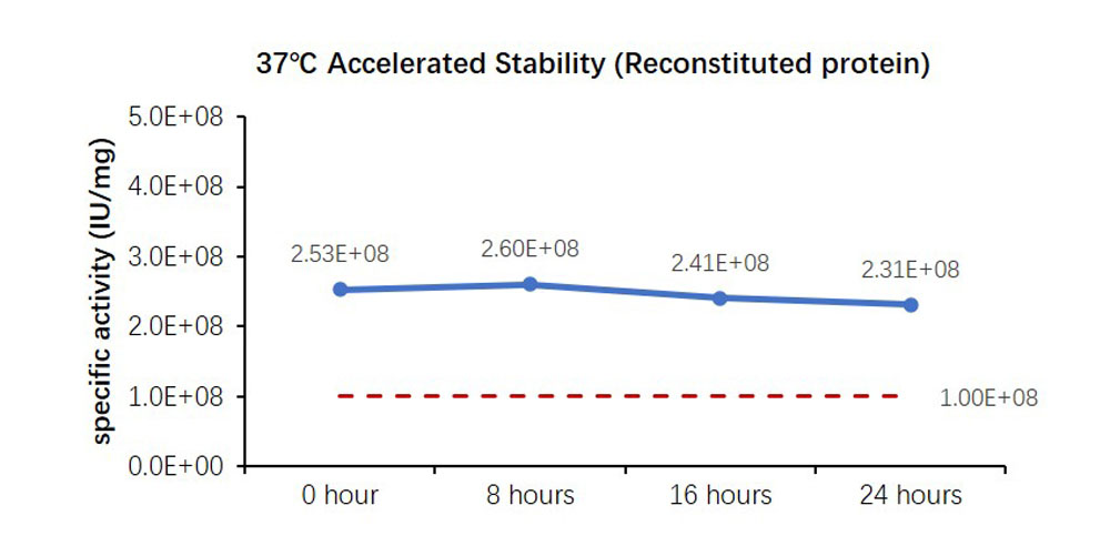 IL-6 STABILITY