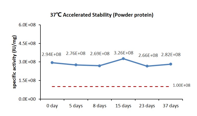 IL-7 STABILITY