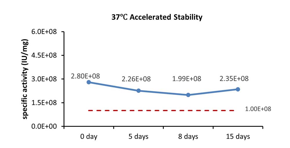 IL-7 STABILITY