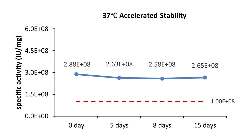 IL-7 STABILITY