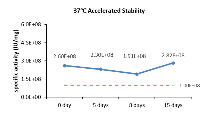 IL-7 STABILITY