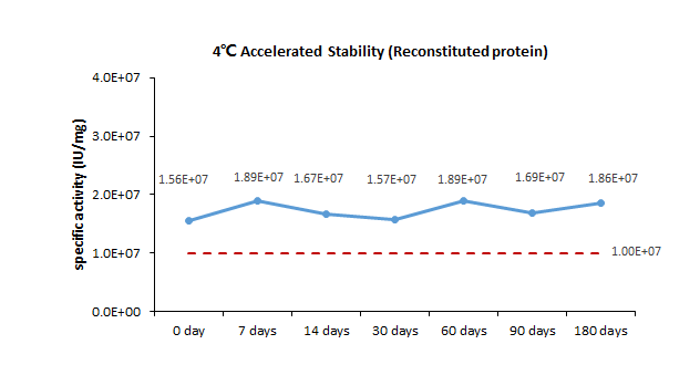 IL-10 STABILITY