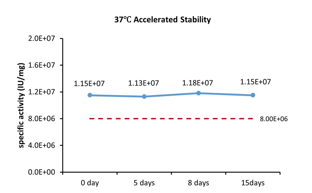 IL-15 STABILITY