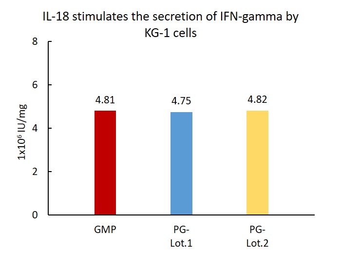 IL-18 STABILITY