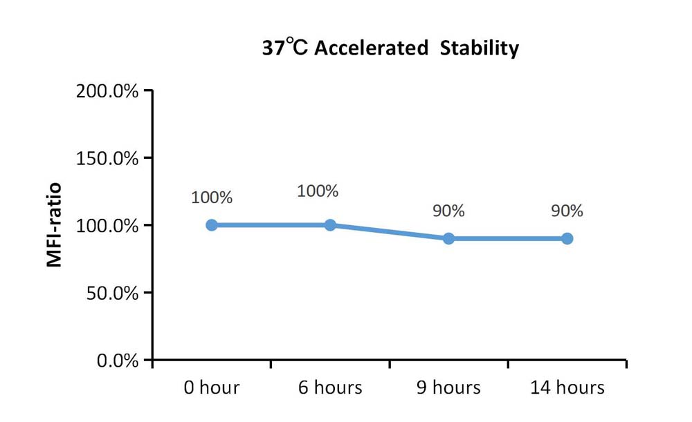 Streptavidin STABILITY