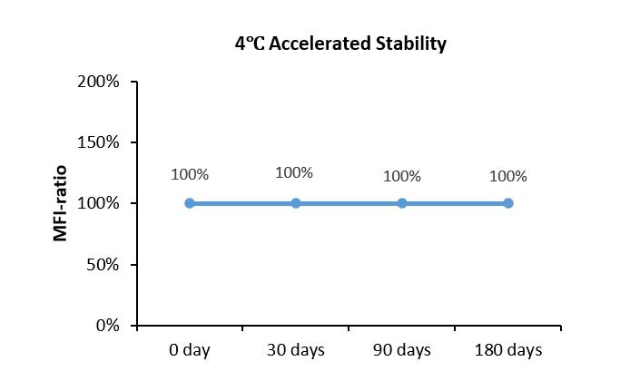 Streptavidin STABILITY