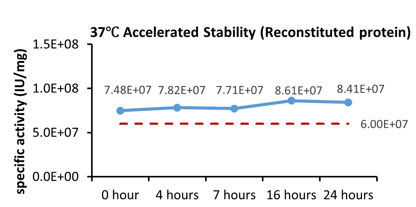 M-CSF STABILITY