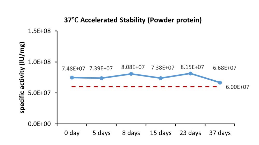 M-CSF STABILITY