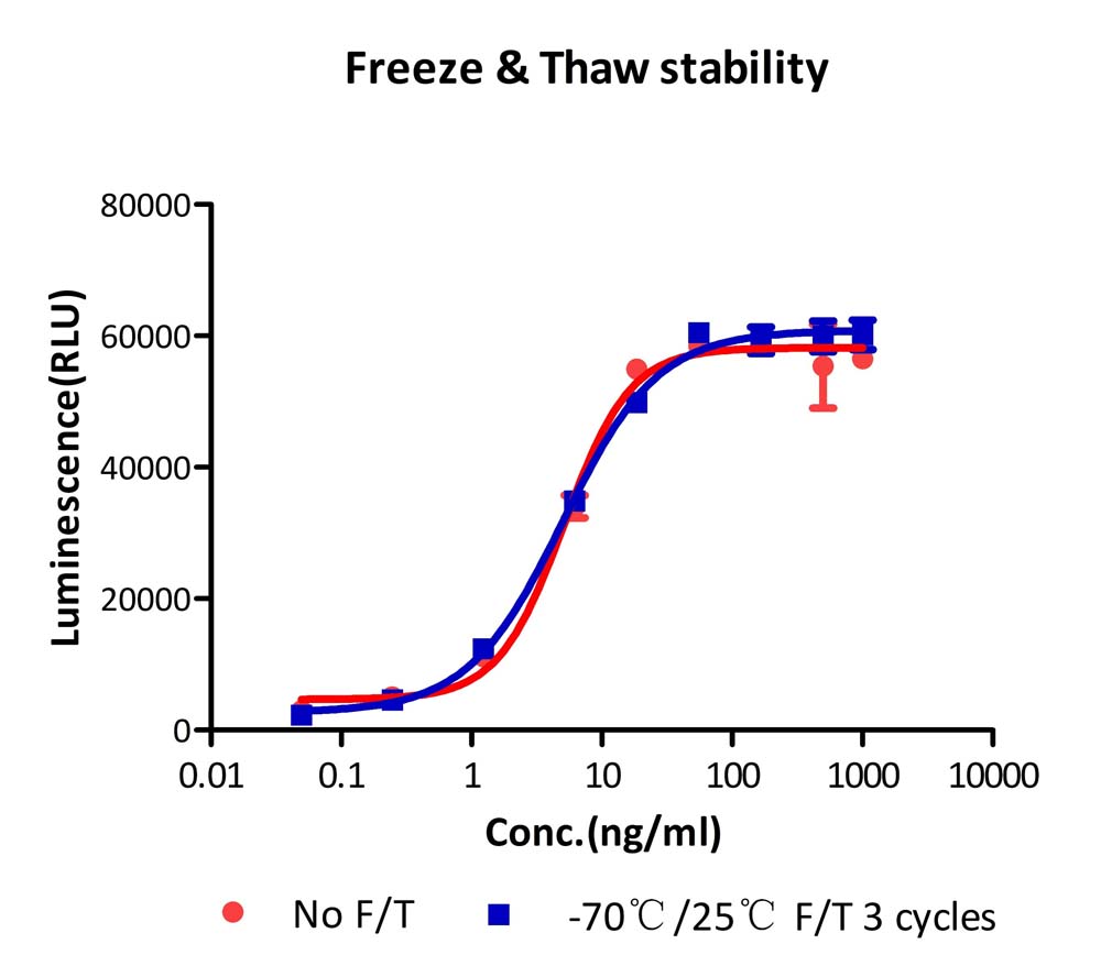M-CSF STABILITY