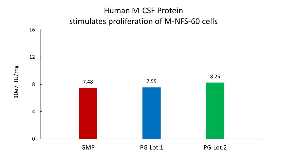 M-CSF STABILITY