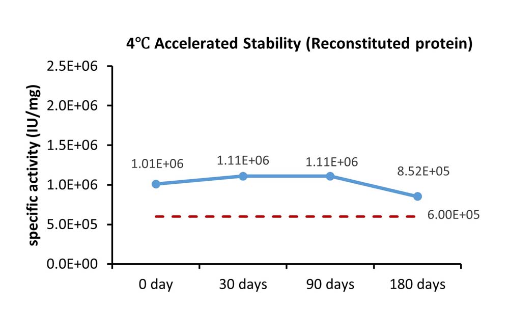 SCF STABILITY