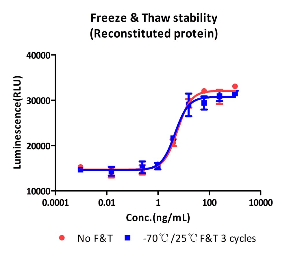 SCF STABILITY