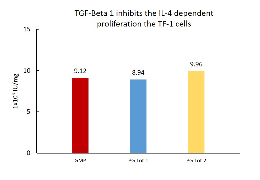 TGF-beta 1 STABILITY