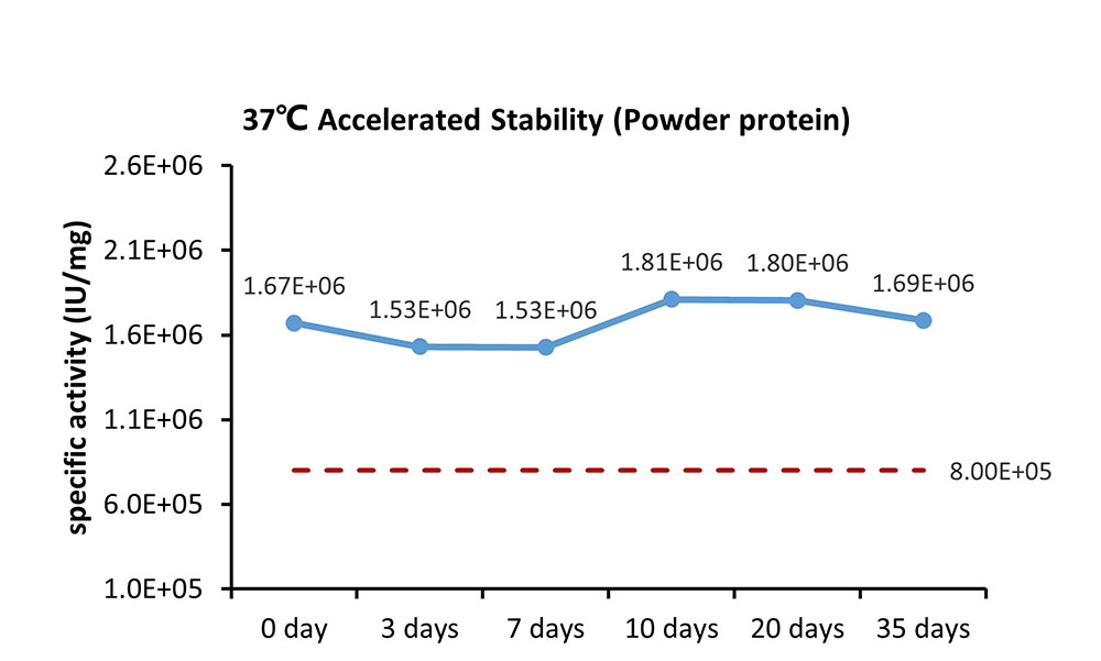 VEGF165 STABILITY
