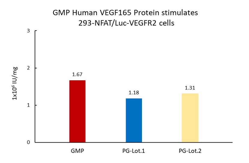 VEGF165 STABILITY