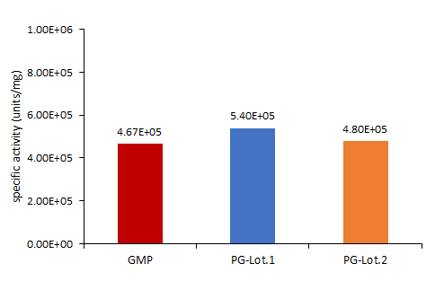Nuclease STABILITY