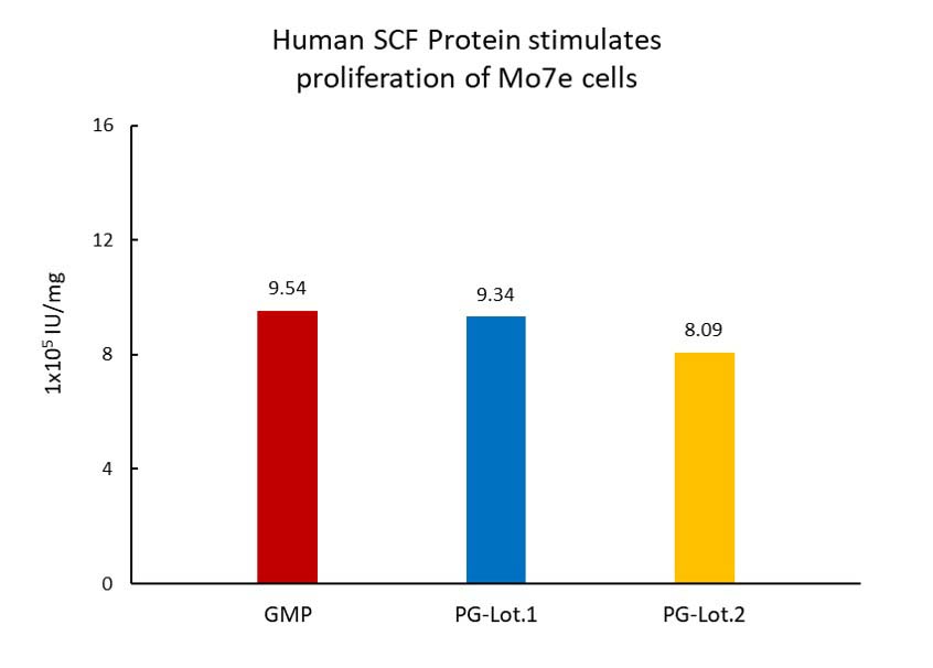 SCF STABILITY