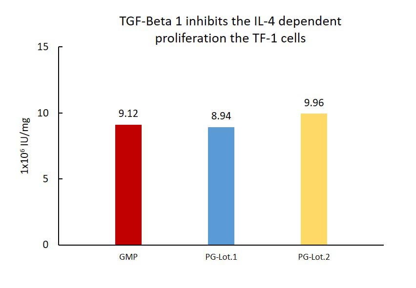 TGF-beta 1 STABILITY