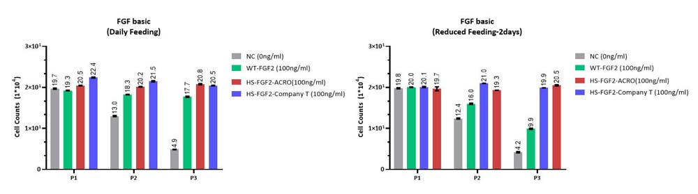 FGF basic STEM CELL CULTURE