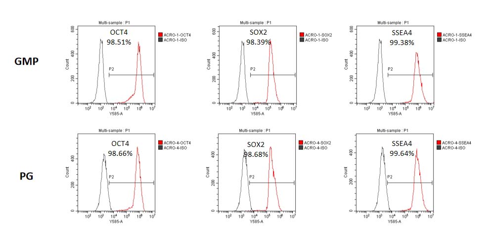Laminin 521 STEM CELL CULTURE