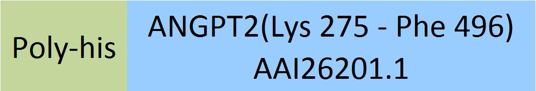 Angiopoietin-2 Structure