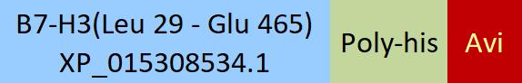 B7-H3 (4Ig) Structure