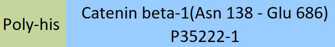 Catenin beta-1 Structure