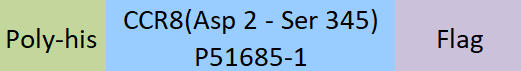 CCR8 Structure